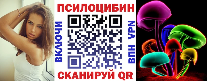 магазин продажи   Снежногорск  Псилоцибиновые грибы GOLDEN TEACHER 