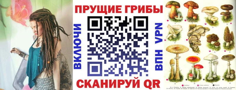 Галлюциногенные грибы Cubensis Снежногорск